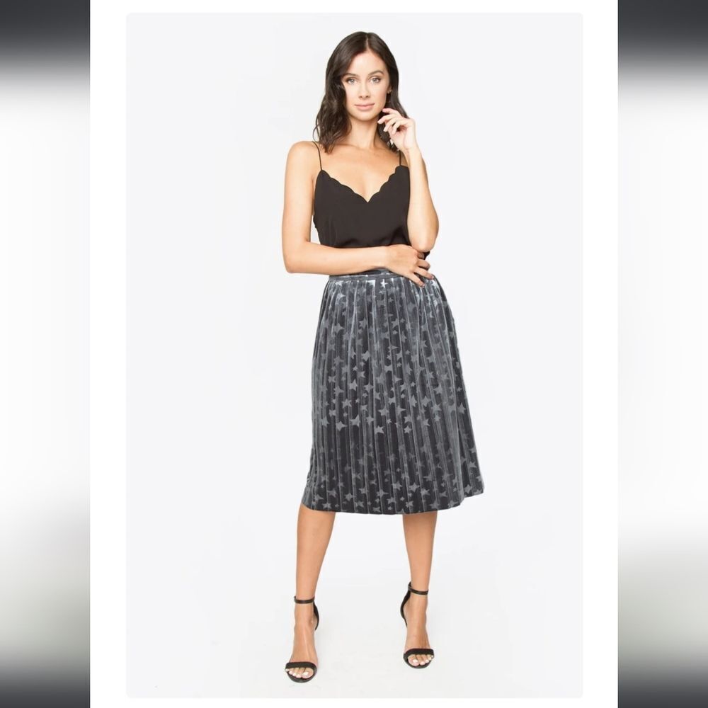 Blueish-gray velvet feel Sugar lips midi pleated skirt size S, new without tags!